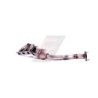 Catalyseur BMW 330i 3.0i 2979 cc 170 Kw 231 cv de 2001 à 2006